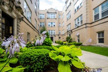 Side courtyard view